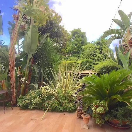 Villa Luxury Anais Cannes